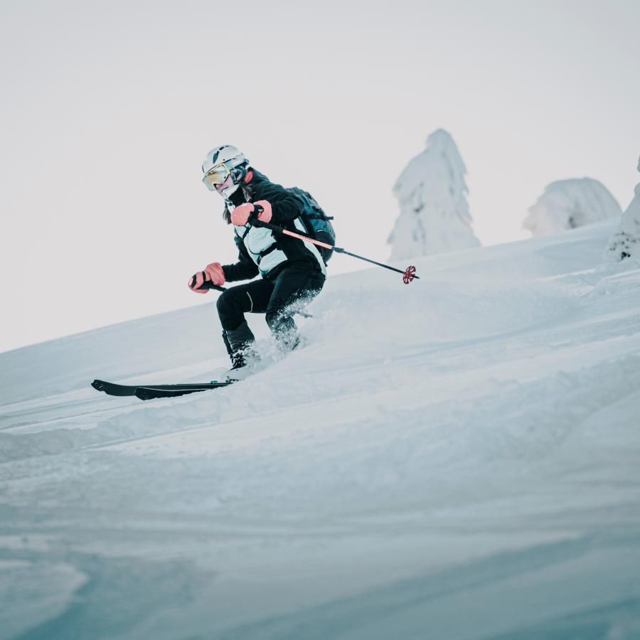 Imagen gamas ski
